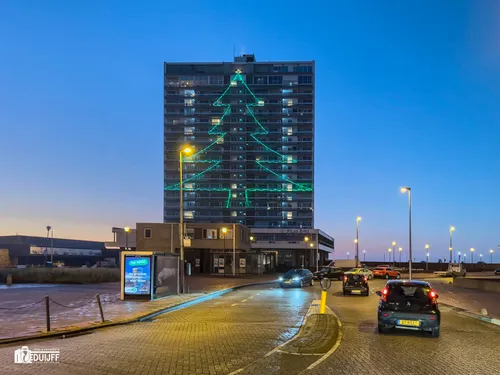 bouwes palace kerstboom