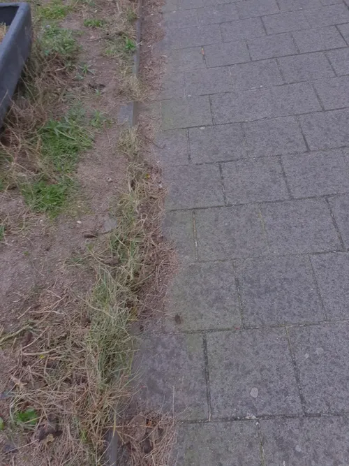 groenstrook haltestraat groen links zandvoort en bentveld aangeleverd 3