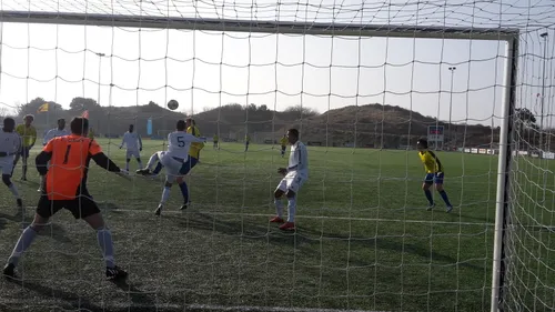 maurice moll jaap koper