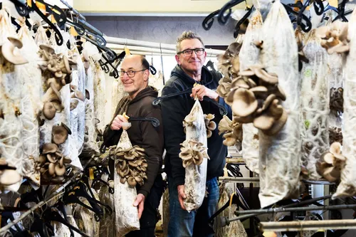 oesterzwammerij erik en michiel fotocredits fotostudio vlekke 1