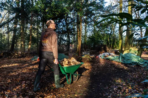 oesterzwammerij stadstuinbouw fotocredits fotostudio vlekke