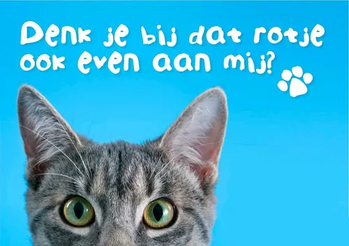 poes vuurwerk campagne 1024x723 alleenvuurwerkopoudejaarsavond
