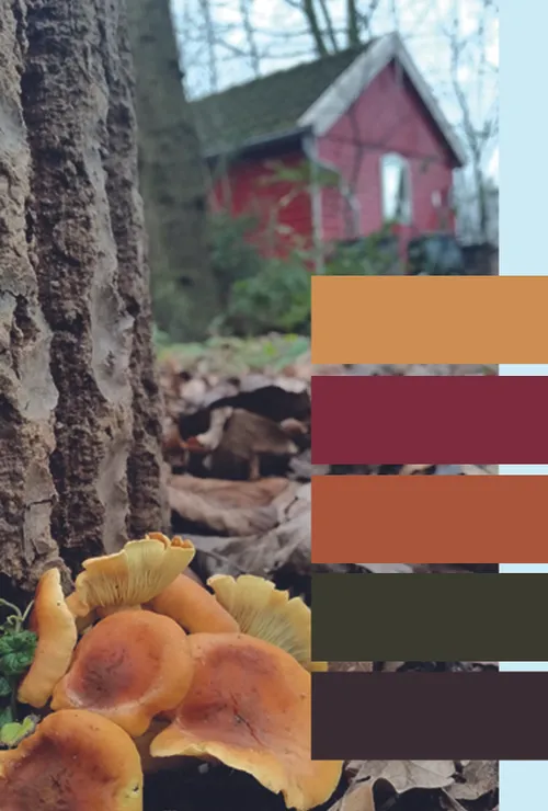 rodi media skilderwiefke november 2021