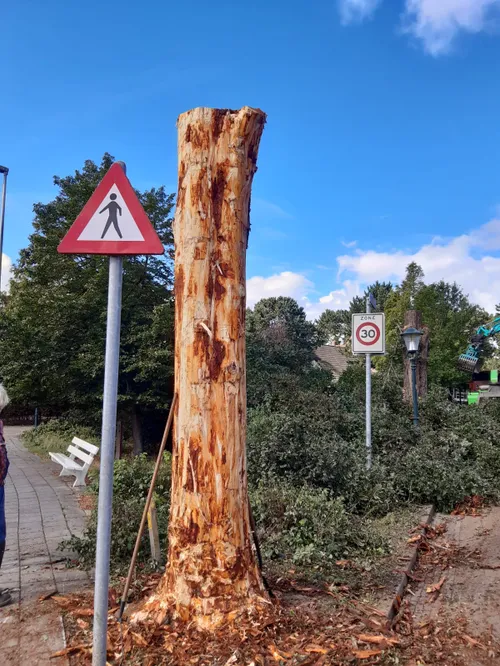 stam kunstwerk rob peters 1 spaarnelanden