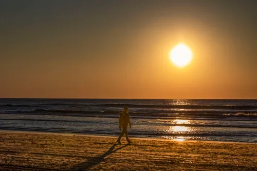 stranger on the shore