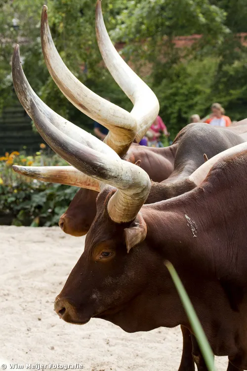 tumblr mw1nwpepga1svvyvco3 1280