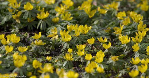 voorjaarsvakantie wim meijer fotografie tumblr n1ikvoeafh1svvyvco10 1280 1024x534