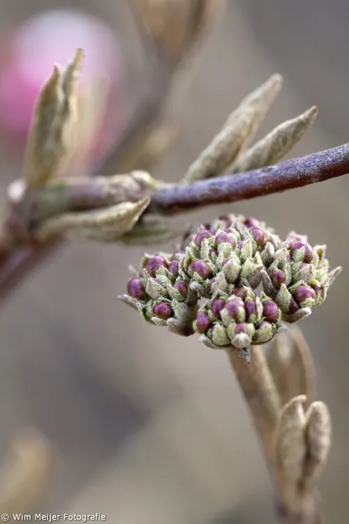 voorjaarsvakantie wim meijer fotografie tumblr n1ikvoeafh1svvyvco4 1280 683x1024