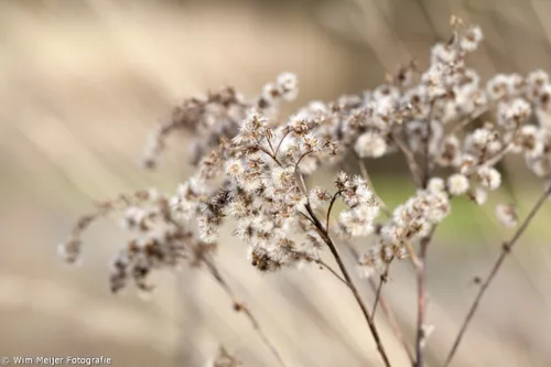 voorjaarsvakantie wim meijer fotografie tumblr n1ikvoeafh1svvyvco5 1280 1024x683