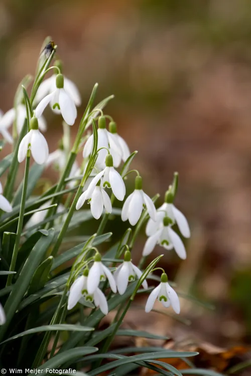 voorjaarsvakantie wim meijer fotografie tumblr n1ikvoeafh1svvyvco9 1280 683x1024