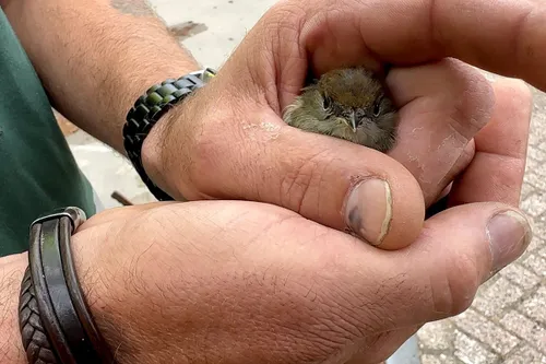 whatsapp image 2023 07 05 at 092432 kopieren