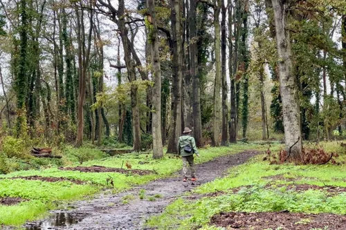 whatsapp image 2023 10 29 at 113803 1