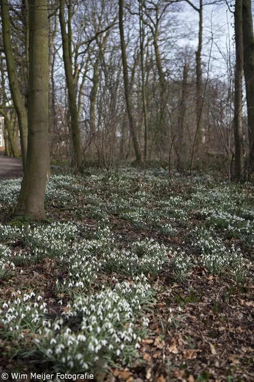 wim meijer fotografie mg 21171 682x1024