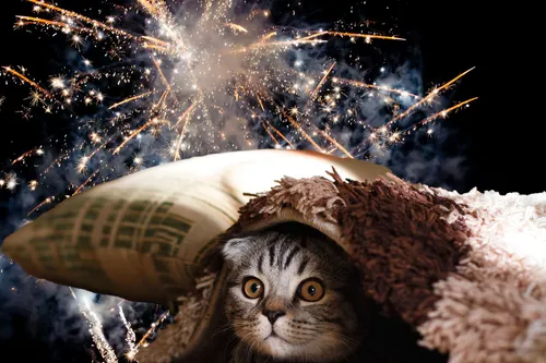 fireworks 1712688 1920 kopieren pix