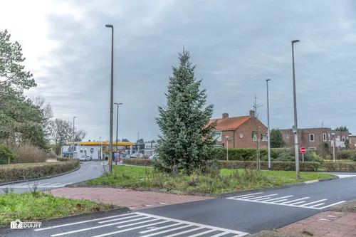 ART Kerstboom entree Zandvoort