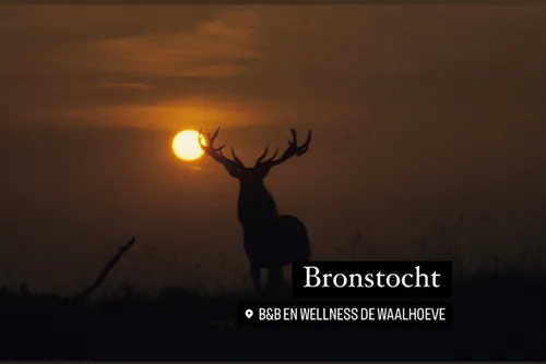 2da97c33 a8eb 4bf8 a4c0 ca8627a9cefa 2