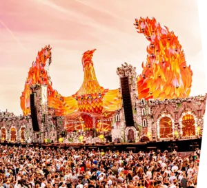 dreamfields 1 1 300x273