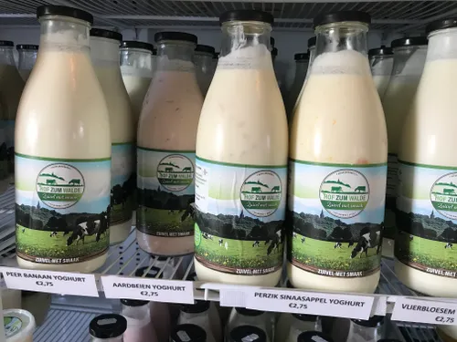 hofzumwalde 5 img 2555