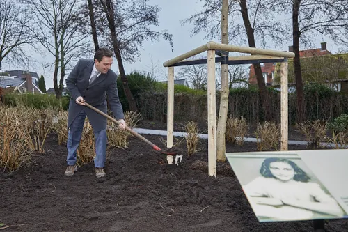 afrankboom 22 01 mg 2339 jpeg voor instagram