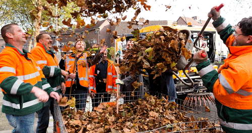 075 fotoflex 500x265