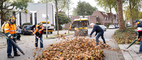 152 fotoflex 500x211