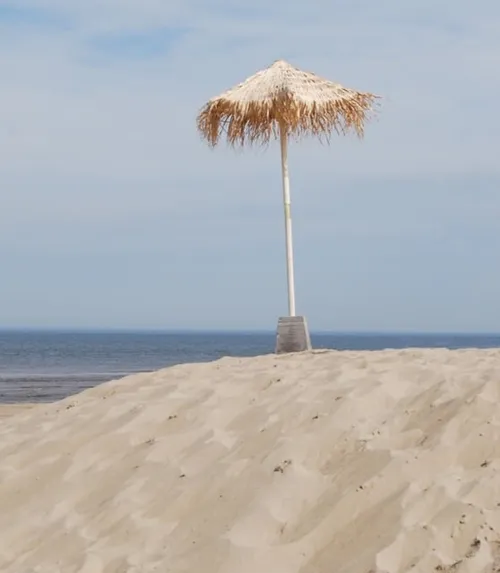 2019 06 02 noordwijkerhout rita 5