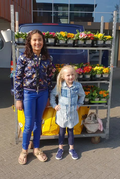 20190330 17400517063