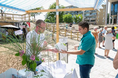 218 copyrightfotoflexnl 08072023