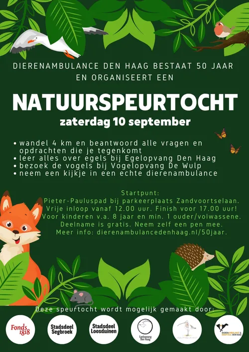 50 flyer natuurspeurtocht