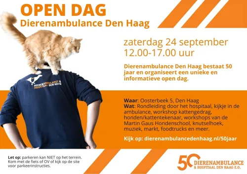 50 jaar flyer