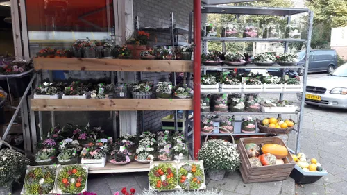 bloemenwinkel bossenwaard 3