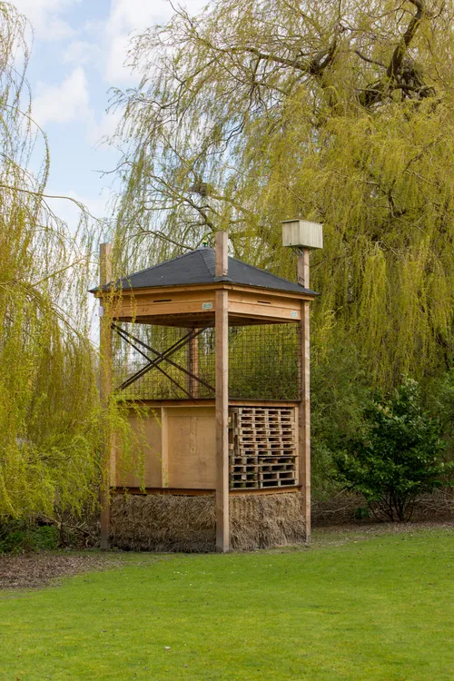 dierenflat plas van poot zoetermeer 29