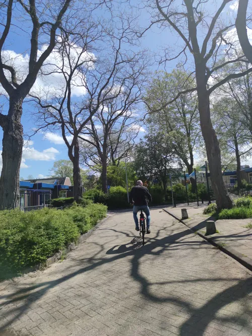 ervaringsverhaal positieve gezondheid en piezomethodiek