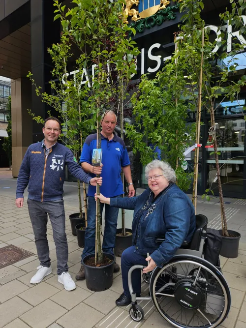 gratis bomenactie wethouder van der meer tuincentra