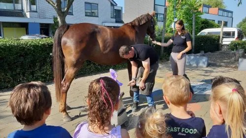 hoefsmid op schoolplein
