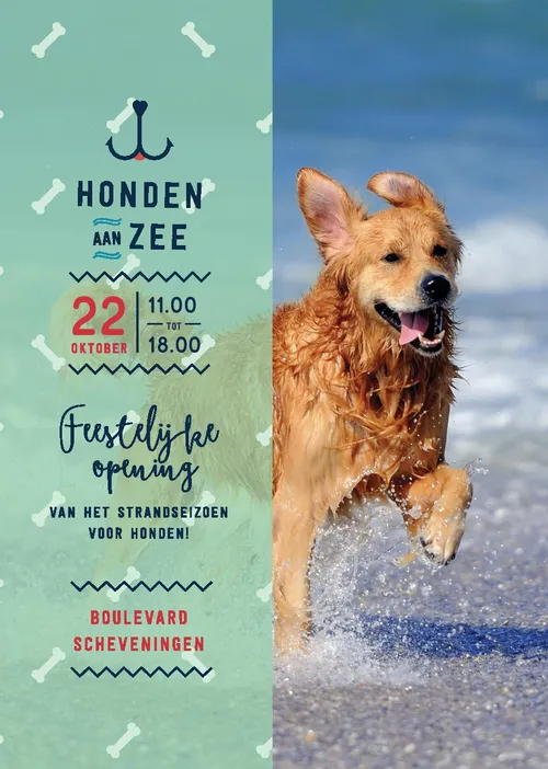 hondenaanzee flyer2017 0015111