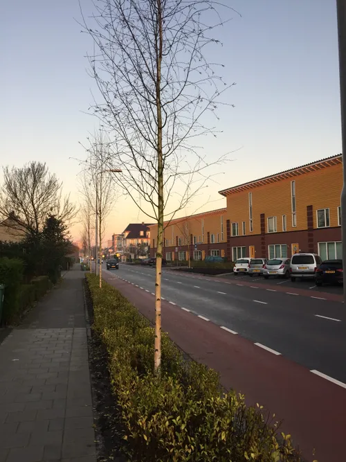 img 3671 e1575555316222