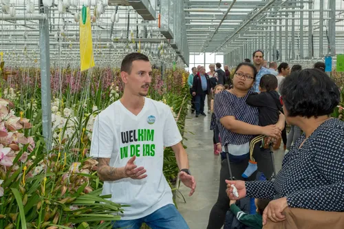 img 9908 at rolfvankoppenfotografie 00316705