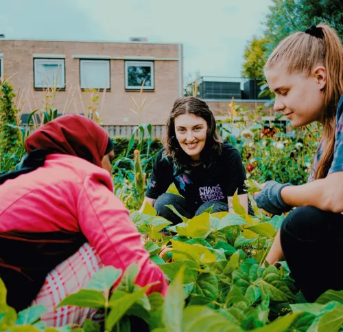 internationale studenten en inburgeraars werken en leren samen in wijktuin noordhove foto stichting piezo