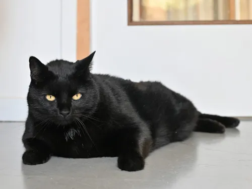 jabba april2024 foto agnes ludwig