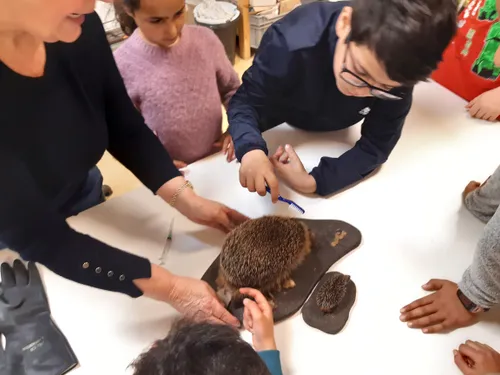 kinderen talentenacademie krijgen les egelverzorging fotograaf stichting piezo