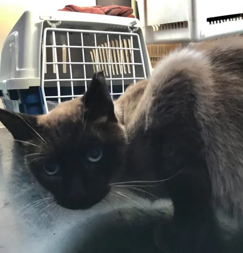 markie4 e1601900818447