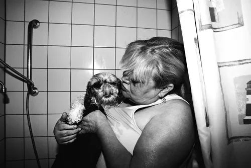 palenstein2 remco20110