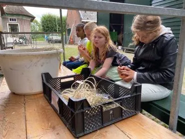piezo talentenacademie meerzicht dierenverzorger1