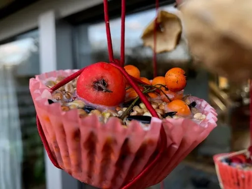 piezo talentenacademie vogelcupcakes