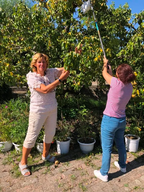 start van de beweegweek in noordhove foto 2 foto stichting piezo