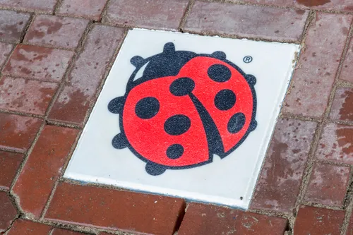 start vriendschap gemeente zoetermeer en stichting tegen geweld 12