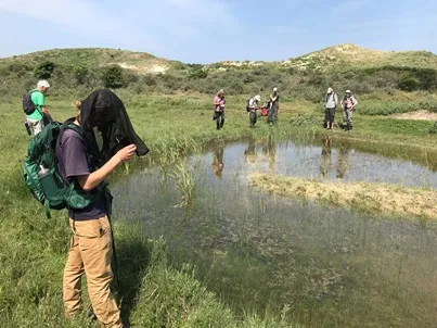 telgroep in meijendel foto joeri uilenreef