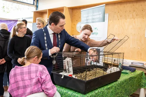 the next step 2023 37