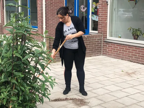 tuinieren piezo buytenwegh2